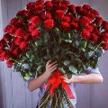 花凛